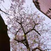ヒメ日記 2026/04/05 11:26 投稿 ゆい あなたの願望即！叶えます～本格的夜這い痴漢専門店～