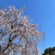 ヒメ日記 2026/04/12 17:32 投稿 せな Charme（シャルム）