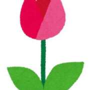 ヒメ日記 2026/04/17 23:42 投稿 せな Charme（シャルム）