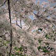 つかさ はじめまして🥰 べっぴんコレクション