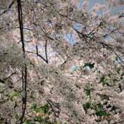 つかさ はじめまして🥰 べっぴんコレクション