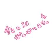 ヒメ日記 2026/04/01 13:45 投稿 りこ マドンナSANSAIN