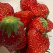 ヒメ日記 2026/04/10 08:46 投稿 藤原さくら プレジデントハウス