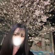 かれん 1週間の心境💗💭 極楽城(ゴクラクジョウ)