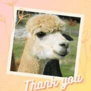 ヒメ日記 2026/03/30 19:22 投稿 結【ゆい】 丸妻 西船橋店