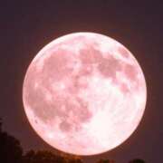 結【ゆい】 ピンクムーン.*･ﾟ🌔🌔.*･ﾟ 丸妻 西船橋店