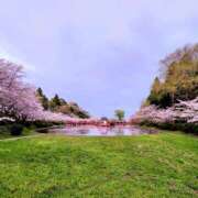 ヒメ日記 2026/04/04 18:32 投稿 結【ゆい】 丸妻 西船橋店