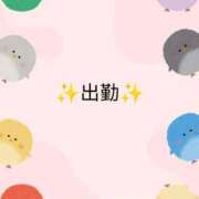 ヒメ日記 2026/04/15 08:45 投稿 結【ゆい】 丸妻 西船橋店