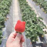 ヒメ日記 2026/04/19 15:28 投稿 結【ゆい】 丸妻 西船橋店