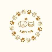 ヒメ日記 2026/04/25 20:32 投稿 結【ゆい】 丸妻 西船橋店