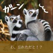 ヒメ日記 2026/04/28 10:28 投稿 結【ゆい】 丸妻 西船橋店