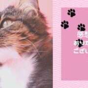 結【ゆい】 ✨感想いただきました✨ 丸妻 西船橋店