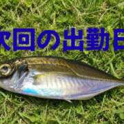 ヒメ日記 2026/09/23 08:05 投稿 結【ゆい】 丸妻 西船橋店