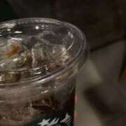 ヒメ日記 2026/04/02 14:09 投稿 あん スピードエコ日本橋店