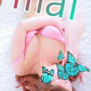 ヒメ日記 2026/04/05 19:29 投稿 春川 麻衣 こあくまな熟女たち 京都店(KOAKUMAグループ)