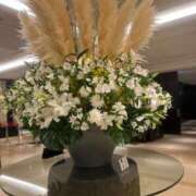 ヒメ日記 2026/04/01 15:03 投稿 白石　ももか 雫(しずく)