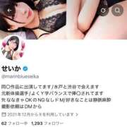 せいか X ホワイトベル