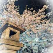 ヒメ日記 2026/03/31 01:06 投稿 四月一日（わたぬき） 熟女の風俗最終章　鶯谷店