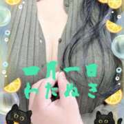 ヒメ日記 2026/04/02 13:05 投稿 四月一日（わたぬき） 熟女の風俗最終章　鶯谷店