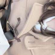 ヒメ日記 2026/03/29 11:03 投稿 しずく 池袋しろパラ