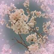 ヒメ日記 2026/04/03 17:16 投稿 もち 池袋あられ