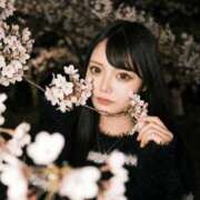 ヒメ日記 2026/04/08 05:22 投稿 澪 セグレターリオ