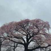 ヒメ日記 2026/03/26 11:25 投稿 さら 完熟ばなな新宿