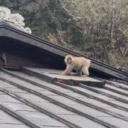 ヒメ日記 2026/06/11 16:57 投稿 きさら セレブクエスト-Kawagoe-