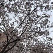 ひおな 3月ありがとう🫶🏻 ぺろぺろベロベロ専科 ぺろんちょ