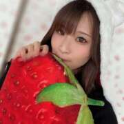 ヒメ日記 2026/04/15 20:05 投稿 ひおな ぺろぺろベロベロ専科 ぺろんちょ