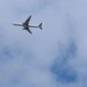 ヒメ日記 2026/04/14 13:45 投稿 しょうこ 熟女家 十三店