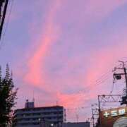 ヒメ日記 2026/07/15 16:30 投稿 しょうこ 熟女家 十三店