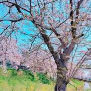 ヒメ日記 2026/04/03 22:22 投稿 きょうか 奥様電車