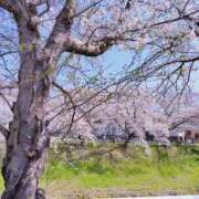 ヒメ日記 2026/04/05 10:35 投稿 きょうか 奥様電車