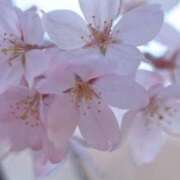 ヒメ日記 2026/04/09 10:28 投稿 きょうか 奥様電車