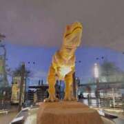 きょうか お礼☘️ 奥様電車