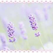 きょうか こんばんは 奥様電車