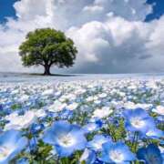 ヒメ日記 2026/04/13 23:12 投稿 すずらん モアグループ神栖人妻花壇