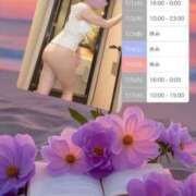 ヒメ日記 2026/06/29 17:24 投稿 すずらん モアグループ神栖人妻花壇