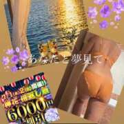 ヒメ日記 2026/07/01 17:10 投稿 すずらん モアグループ神栖人妻花壇