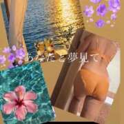 ヒメ日記 2026/09/08 12:51 投稿 すずらん モアグループ神栖人妻花壇