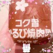 ヒメ日記 2026/04/08 00:29 投稿 森下 華恋人(カレント)