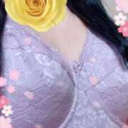 ヒメ日記 2026/04/08 15:24 投稿 上田明美 五十路マダム静岡店（カサブランカG）