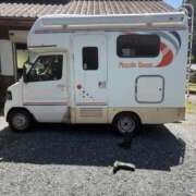 ヒメ日記 2026/04/12 16:20 投稿 上田明美 五十路マダム静岡店（カサブランカG）