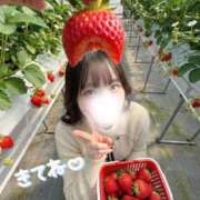 ヒメ日記 2026/03/25 09:33 投稿 モモ SCREEN(スクリーン)