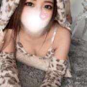 ヒメ日記 2026/05/29 14:49 投稿 朱音ろこ Mrs. Dandy