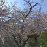 ヒメ日記 2026/03/28 14:53 投稿 まみこ 風鈴（ふうりん）