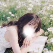 ヒメ日記 2026/05/08 22:46 投稿 ふうか【全身性感帯の感度抜群】 STELLA TOKYO－ステラトウキョウ－
