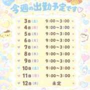 ヒメ日記 2026/10/02 16:03 投稿 せな 宮崎ちゃんこ中央通店