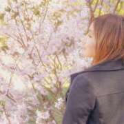 ヒメ日記 2026/03/28 20:30 投稿 まどか 丸妻 新横浜店